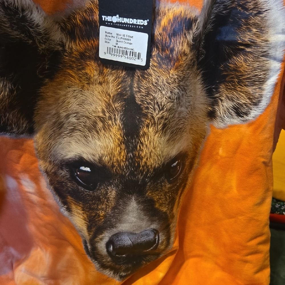 The Hundreds Stoic Burnt Orange Short Sleeve Tee Bold and Comfortable